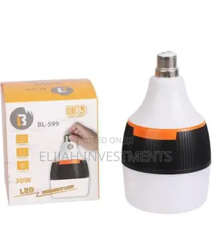 Rechargeable 30W Bayonet Emergency Lamp