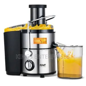 Professional Slow Juicer