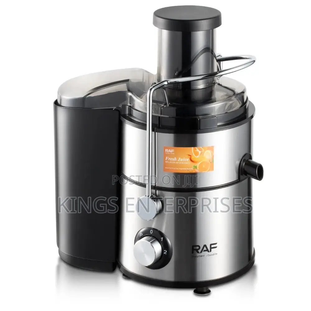 Professional Slow Juicer