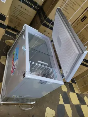 Sayona Deepfreezer 250l