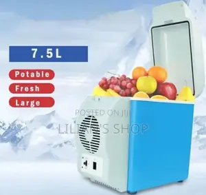 Portable Electronic 7.5L Cooling And Warming Refrigerator