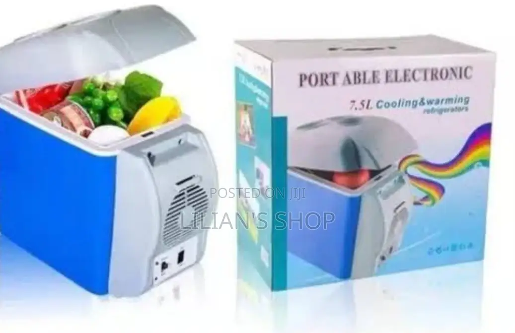 Portable Electronic 7.5L Cooling And Warming Refrigerator