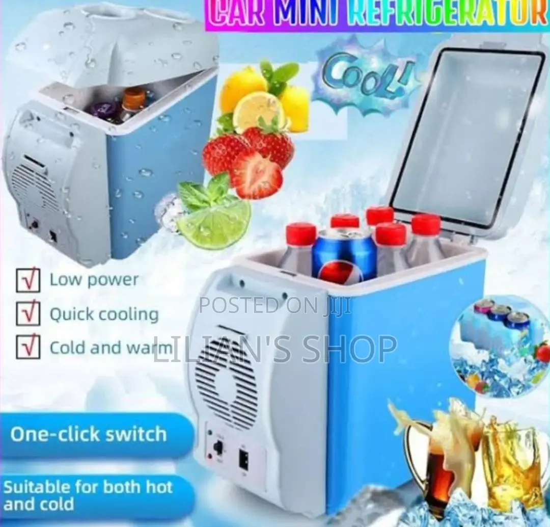 Portable Electronic 7.5L Cooling And Warming Refrigerator