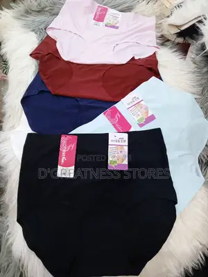 A Dozen of High Waiste Seamless Knickers