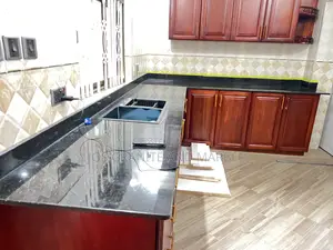 Black Pearl Granite Kitchen Countertops