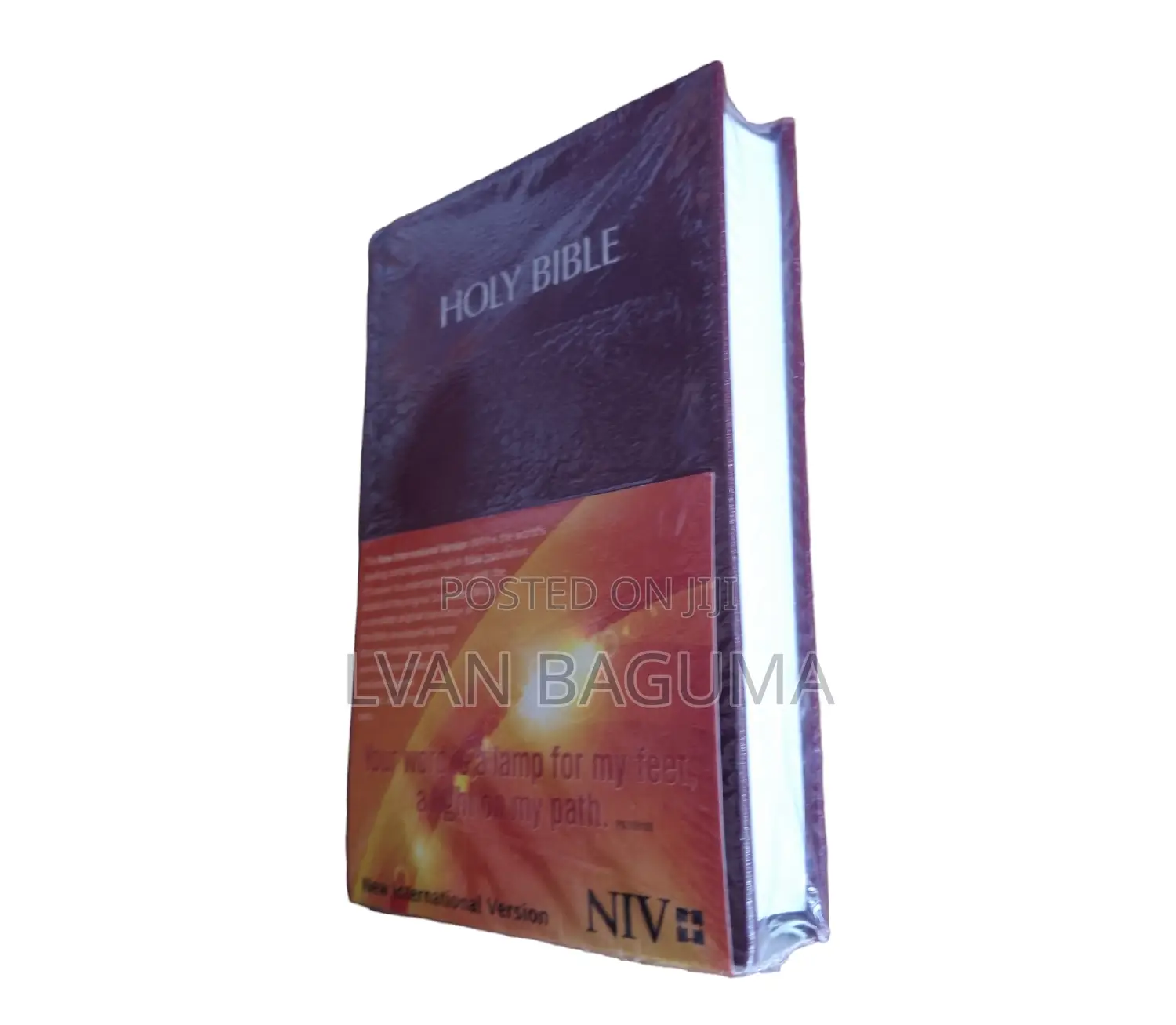 NIV Holy Bible (Small Size) - Maroon Hard Cover