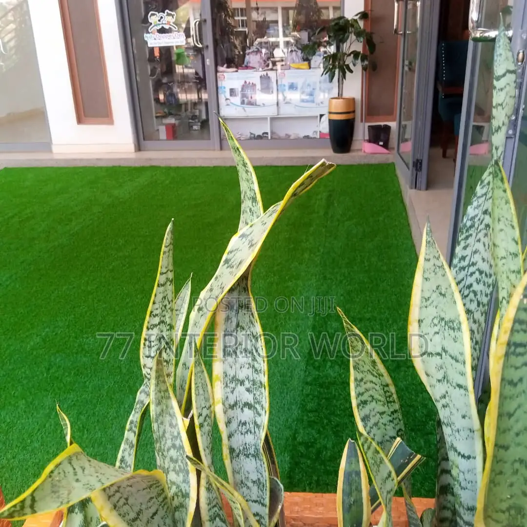 Grass Carpets