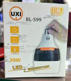 BL-599 Rechargable LED Bulb (Waterproof)