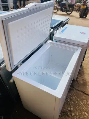 Freezer Fridge for Business
