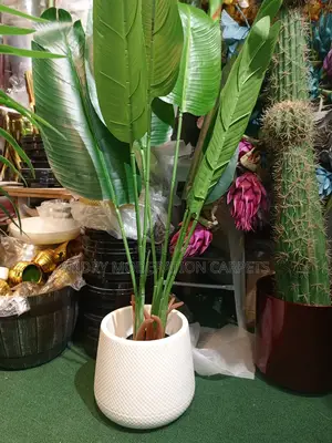 Artificial Plant and Flowers