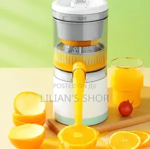 Mini Electric Juice Mixer