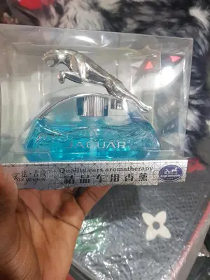 Car Air Fresheners