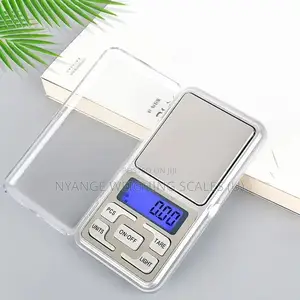 Digital Weighing Scale 500g/0.01g Weight Pocket Digital Weighing Scale