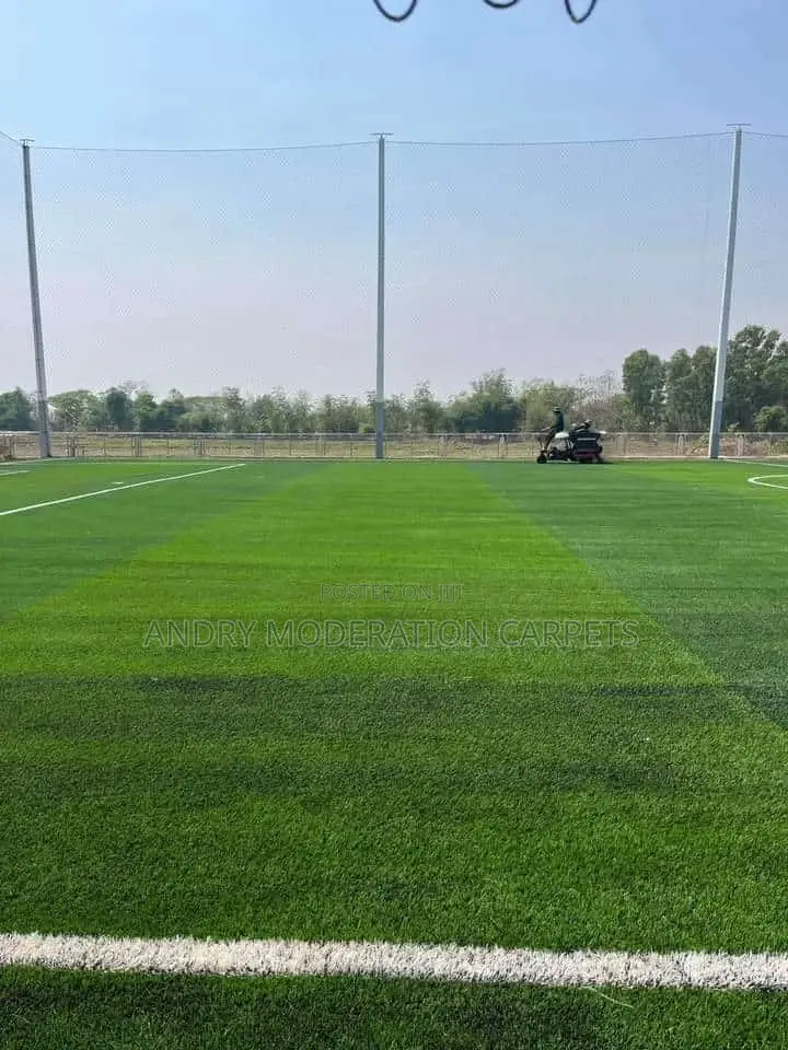 Grass Carpets (Artificial Turf)
