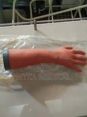 Hand Study Models