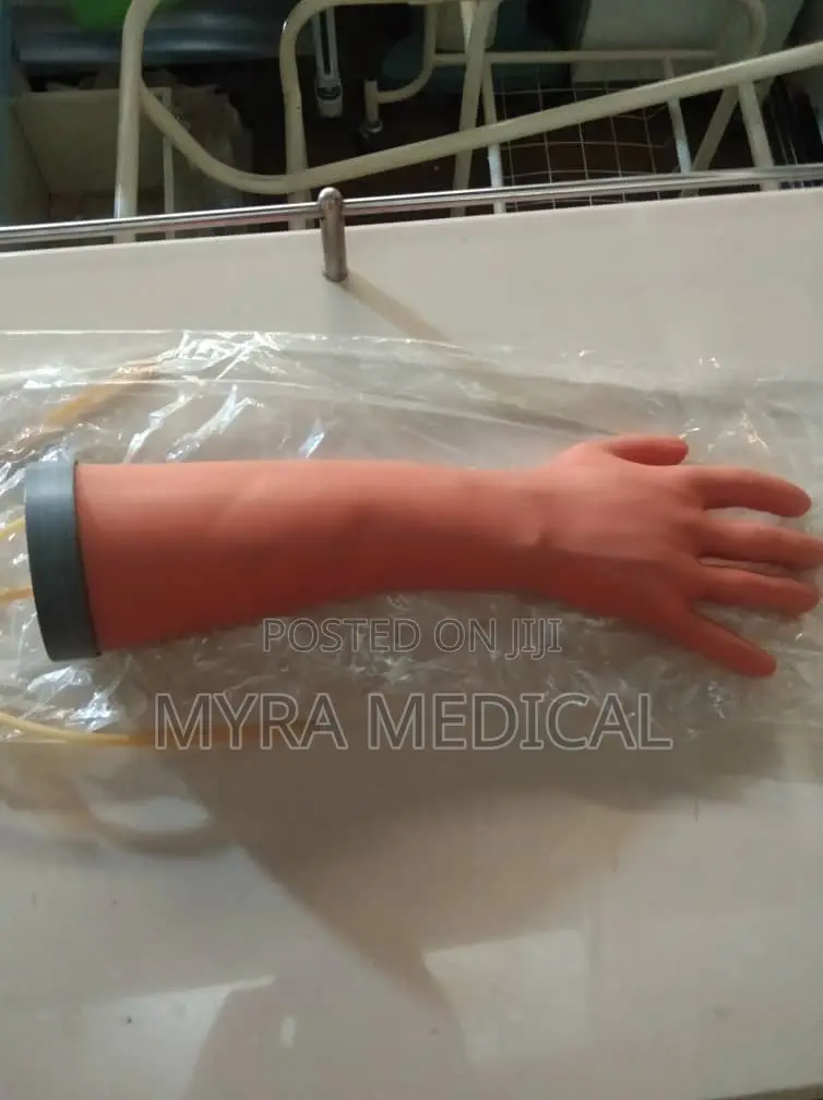 Hand Study Models