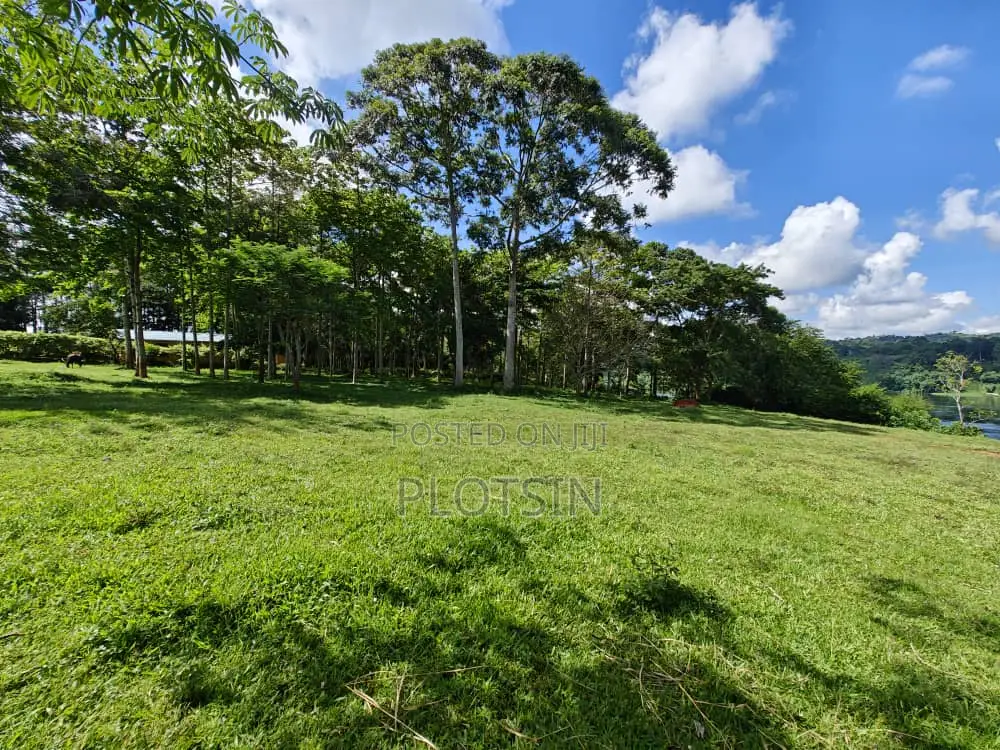 Three Acres (Freehold Titled) of Riverside Land, Jinja City