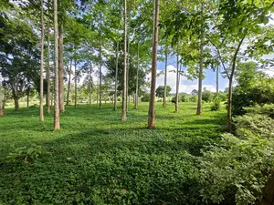 Three Acres (Freehold Titled) of Riverside Land, Jinja City