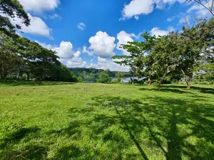 Three Acres (Freehold Titled) of Riverside Land, Jinja City