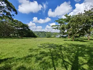 Three Acres (Freehold Titled) of Riverside Land, Jinja City