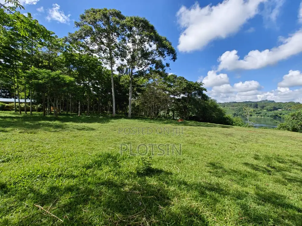Three Acres (Freehold Titled) of Riverside Land, Jinja City