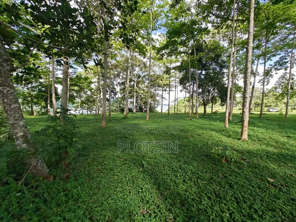 Three Acres (Freehold Titled) of Riverside Land, Jinja City