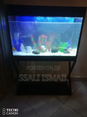 Best Aquarium With Crystal Clear Water