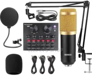 Professional BM 800 Studio Microphone