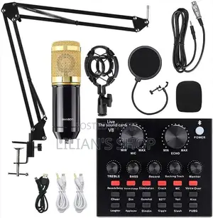 Professional BM 800 Studio Microphone