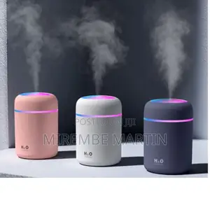 Colorful Portable H20 Humidifier.