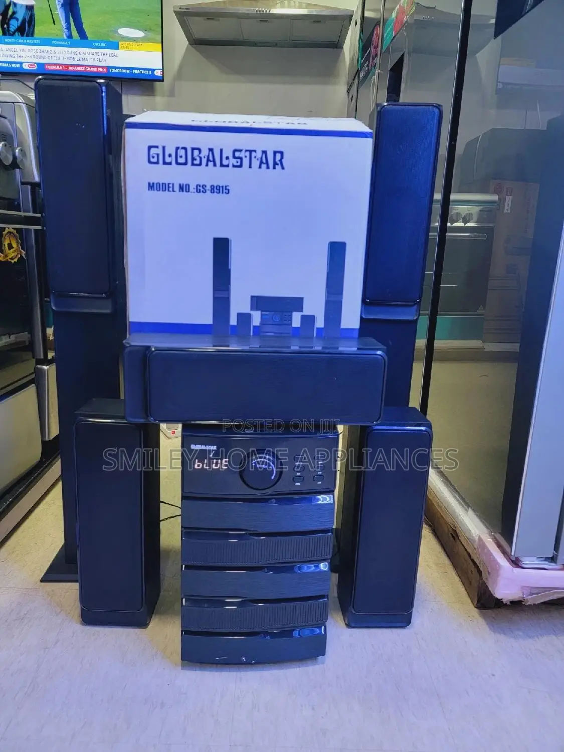 Globalstar GS-8915 Sound System