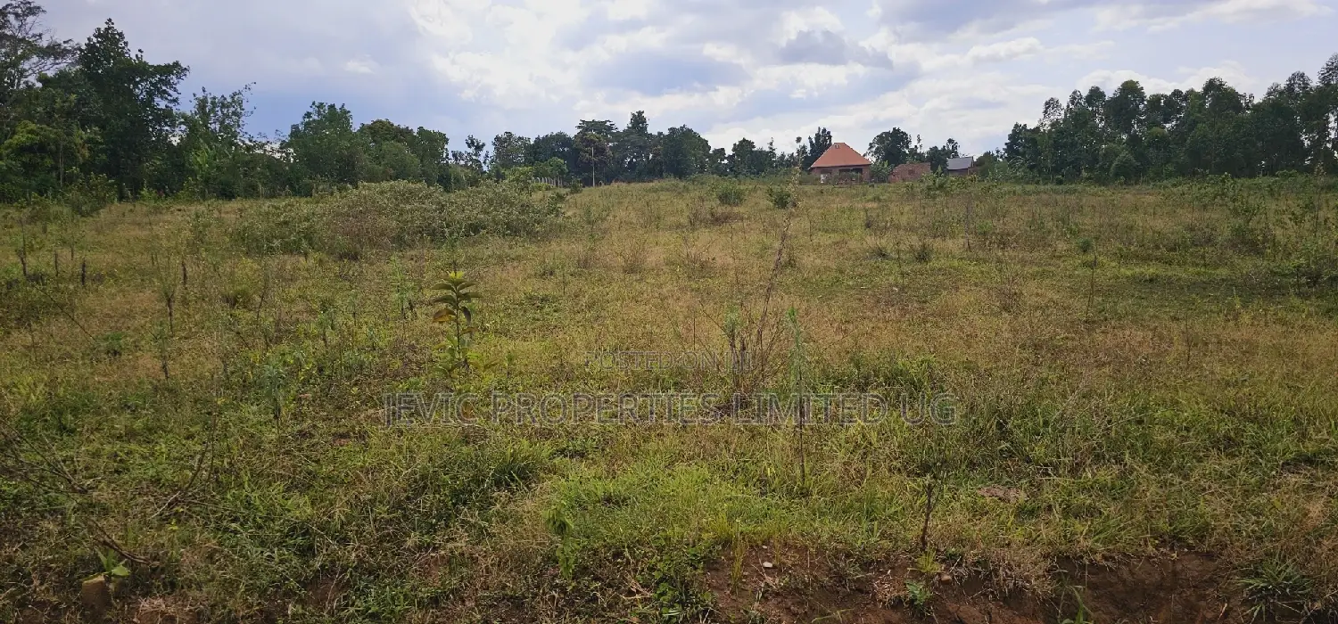Looking for Genuine Agreement Plots 50x100, Namayumba Estate