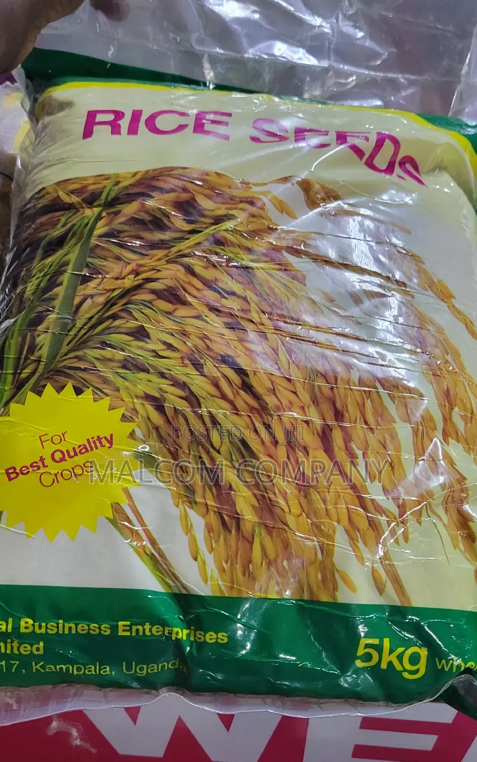 Upland Rice Seeds-Nerica 4 25kg/Acre