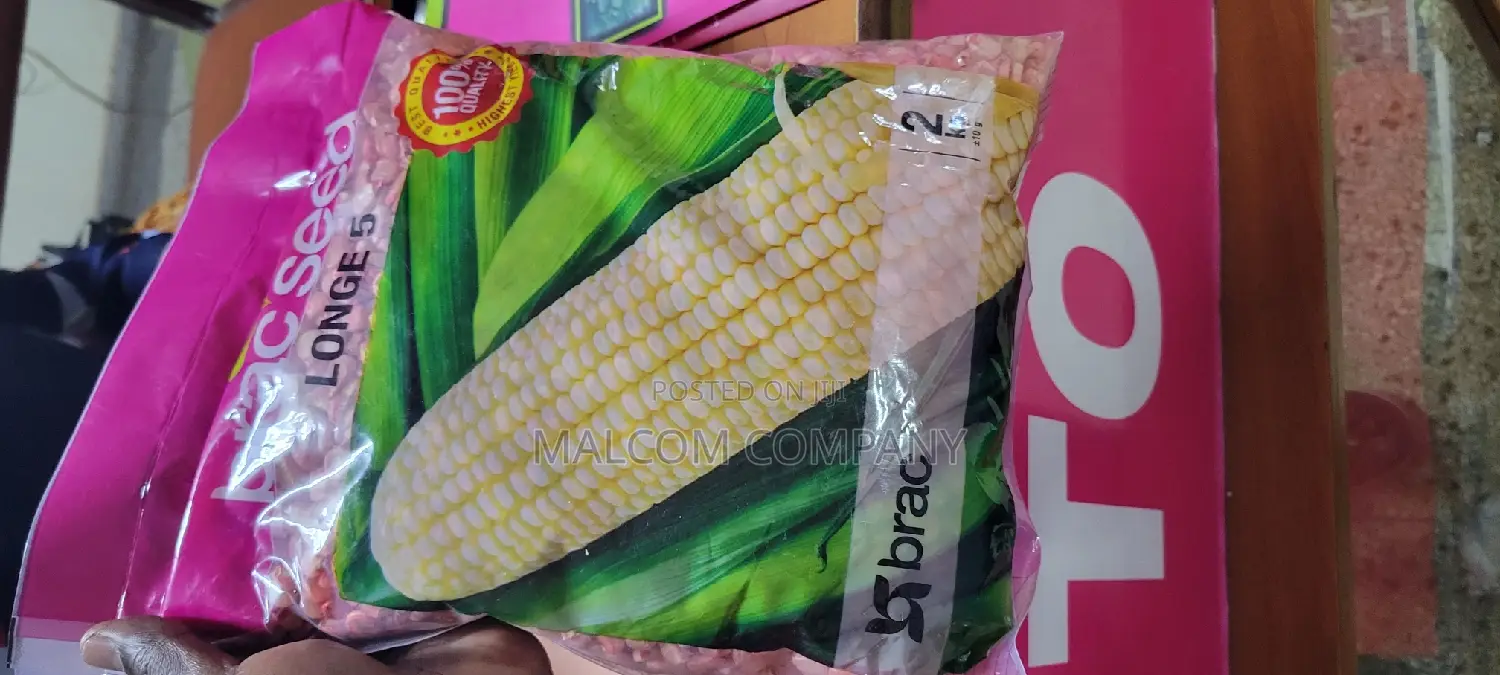 Maize Seeds Longe 5 5kg