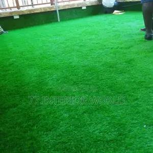 Grass Artificial Grass