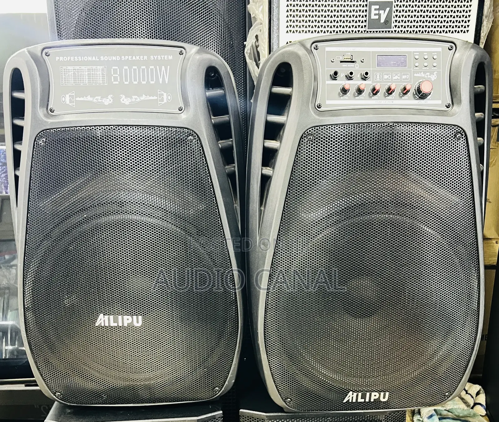 Double 80000W Speakers