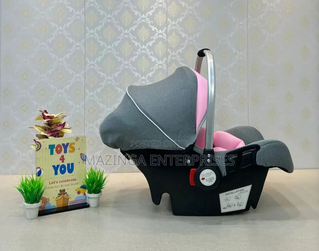 2in1 Soft Baby Carry Cot and Car Seat
