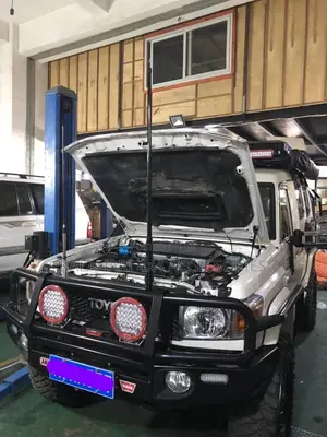 4X4 Large Off-Road Universal Antennae