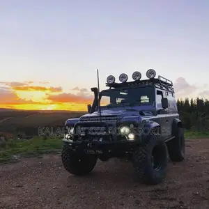 Big Sized Off Road Universal Antenna