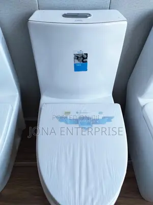 Sitting Toilets