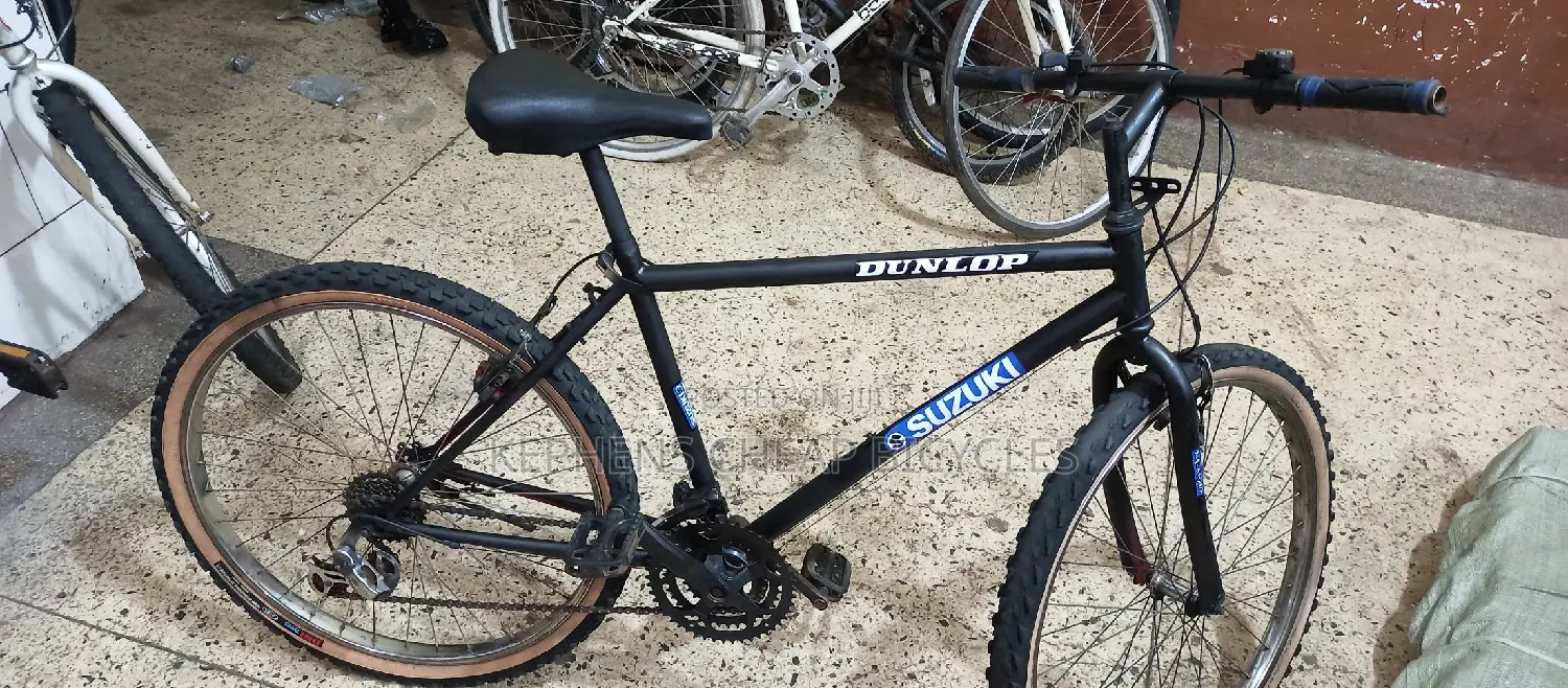 Bike for Adults