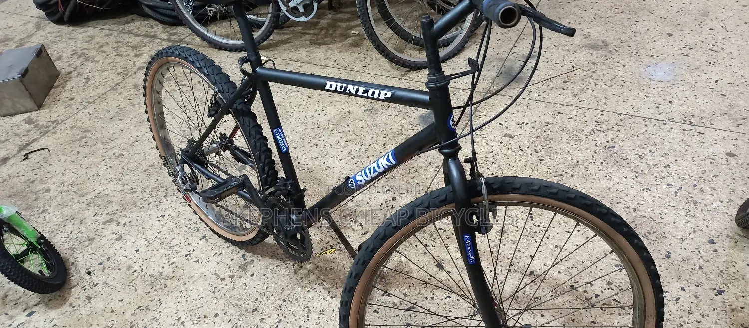 Bike for Adults