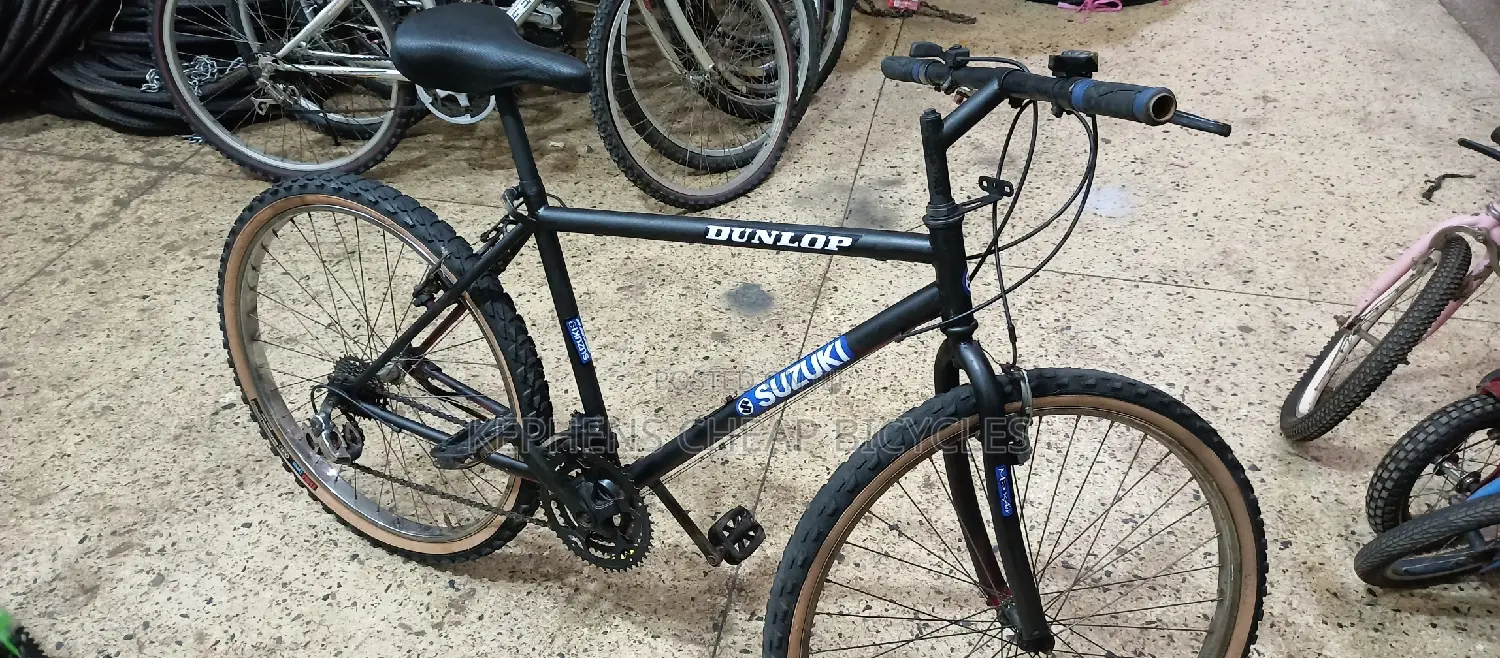 Bike for Adults