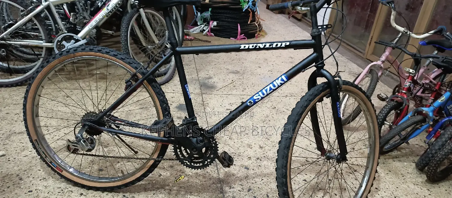 Bike for Adults