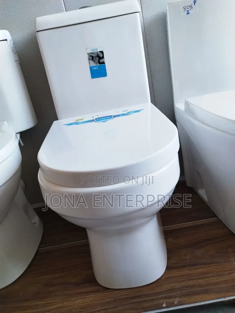 Seating Sanitary Toilets