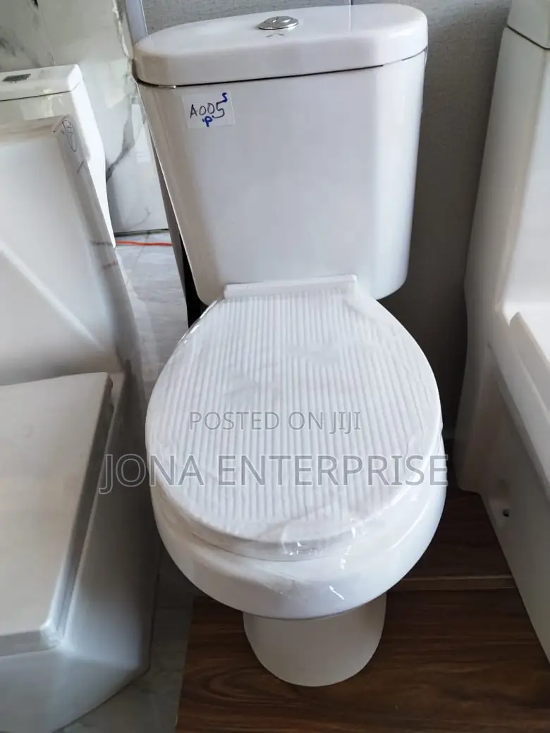 Seating Sanitary Toilets
