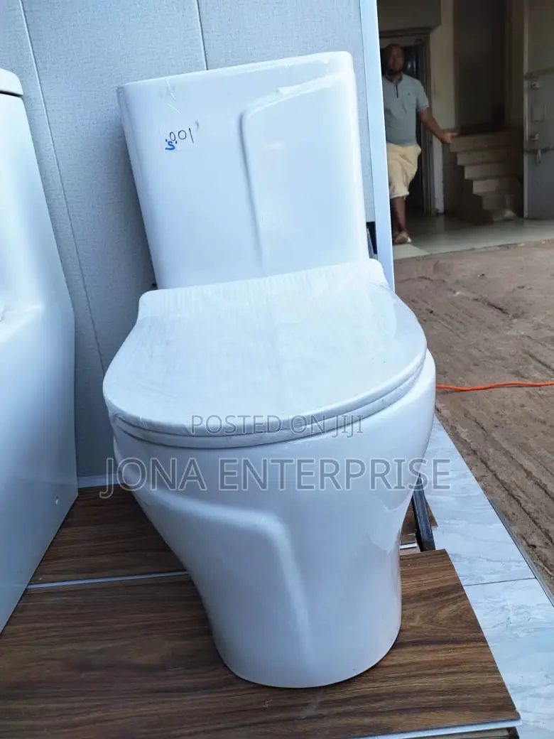 Seating Sanitary Toilets