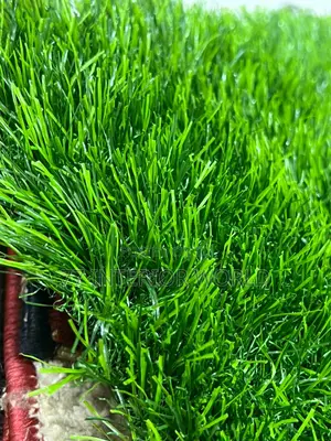 Grass Carpets