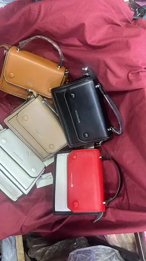 Ladies Luxury Small Handbag and Crossbody Bags