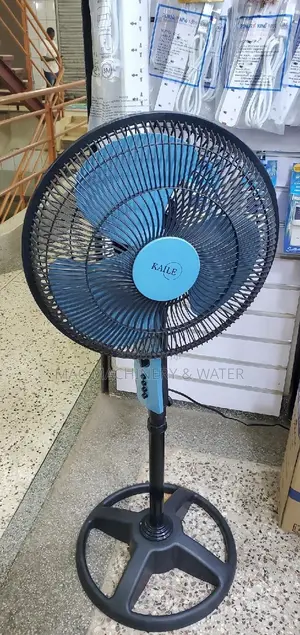 Electric Fan